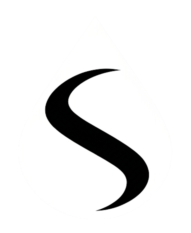 SANACE EXPERT logo